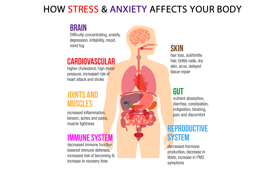 Anxiety Experiences Nursing Essay.